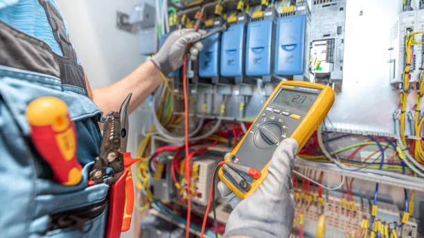 Best Electric Panel Repair  in Fernley, NV