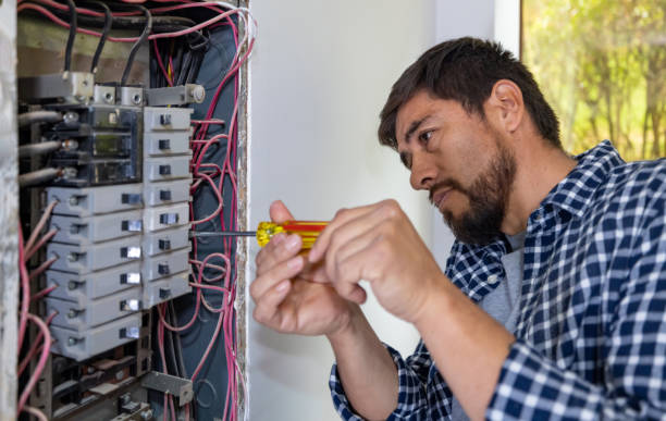 Best Ceiling Fan Installation Electrician  in Fernley, NV